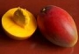 Negocio rentable de frutas (nectares)