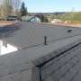 Roofing Services - Metal Roof