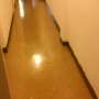 busco trabajos de general cleaning and floors stripping, waxing